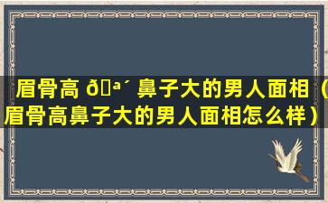 眉骨高 🪴 鼻子大的男人面相（眉骨高鼻子大的男人面相怎么样）